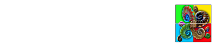 Ammonit EDV Consulting GmbH